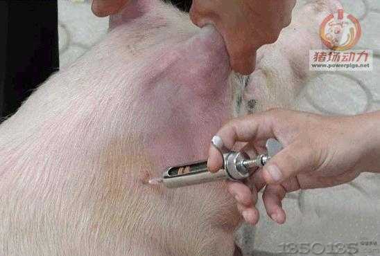 肌肉注射操作的注意事项