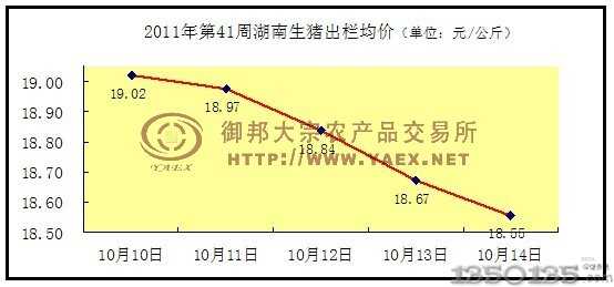 第41周湖南生猪出栏均价变化