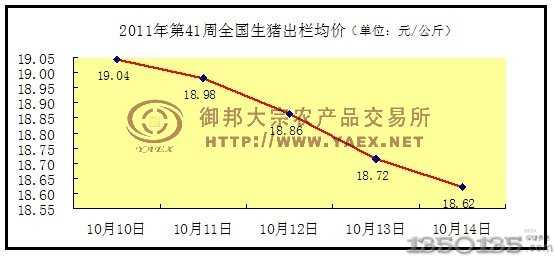 41周全国生猪市场行情
