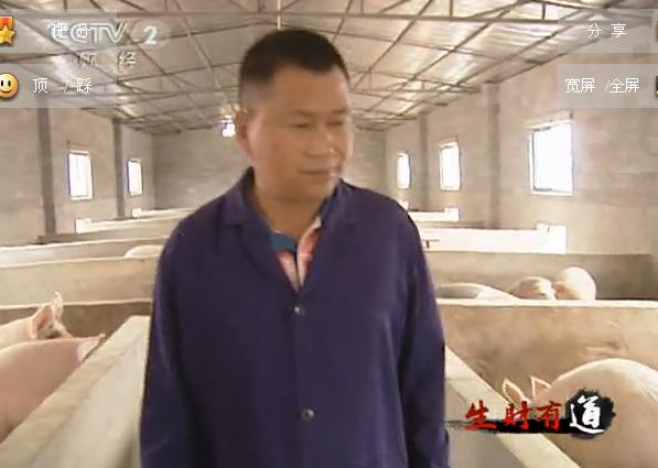 养猪大王陈绍伟--长街镇的猪司令 