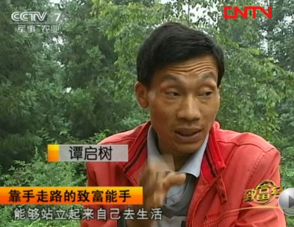 靠手走路的养猪致富能手 