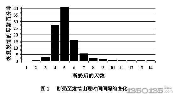 接触公猪对小母猪初情期的影响