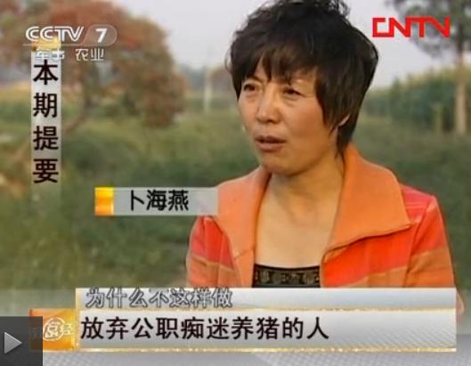 放弃公职 从养猪外行成就龙头企业老总 