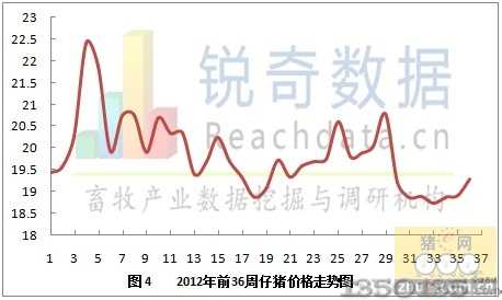 2012年36周仔猪价格价格走势图