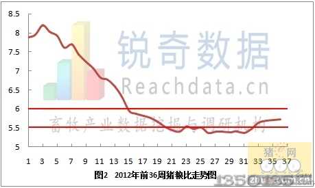 2012年猪粮比价格走势图