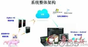 云端养猪架构图
