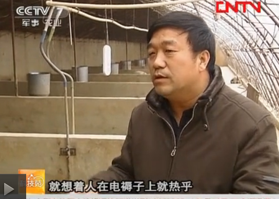【科技苑】温暖的阳光猪舍 