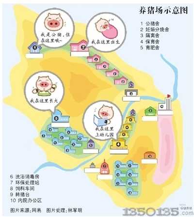 网易猪价建设规模示意图