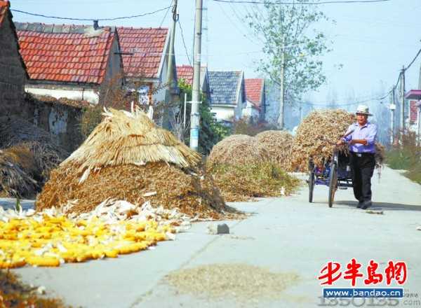 在村里的街道 ,随处可看到晾晒的蔬菜、粮食。