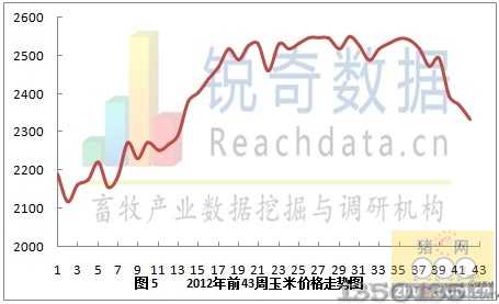 43周玉米价格走势图