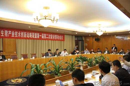 常务理事讨论联盟中心事宜