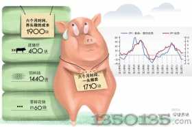 中国猪肉指数