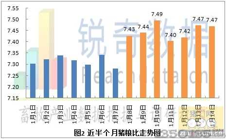 近期猪粮比价格走势图