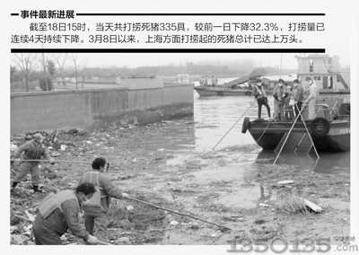死猪事件最新进展