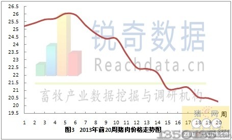 2013年第20周猪肉价格走势图