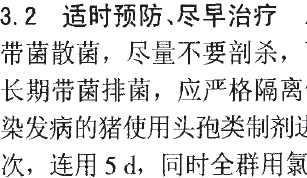 夏季谨防猪链球菌病