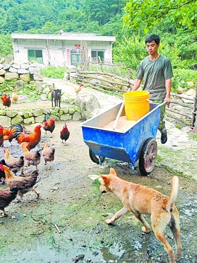 90后退伍兵哥回乡养猪