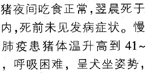 ＾岡
