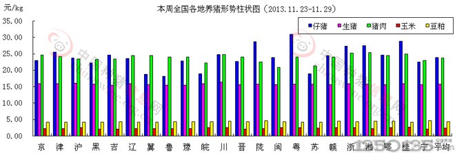 2013年11月月底养猪形势柱形图