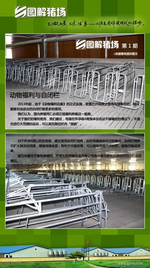 图解猪场