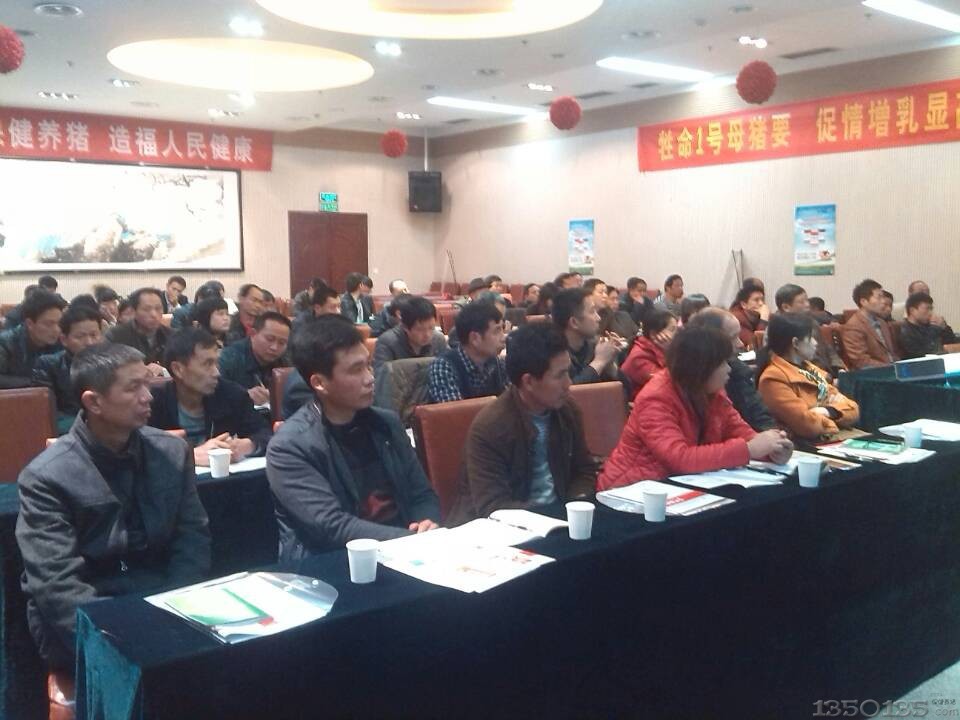 会议现场