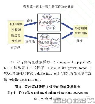 肠外与肠内营养论文格式范文益生菌有哪些用处