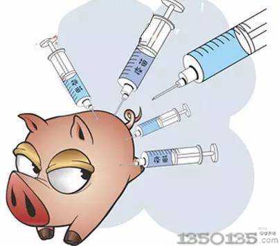 猪场疫苗哪些必须做，怎么做？