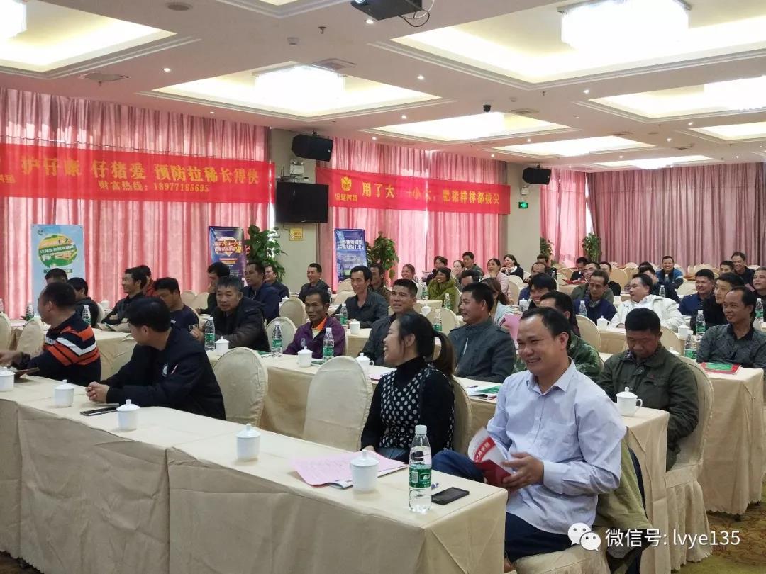 135高效保健养猪学习交流会在广西扶绥县隆重举行
