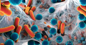 微点评 | 抗生素对肠道微生物的调节作用