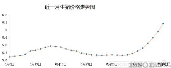 近一月猪价行情走势图