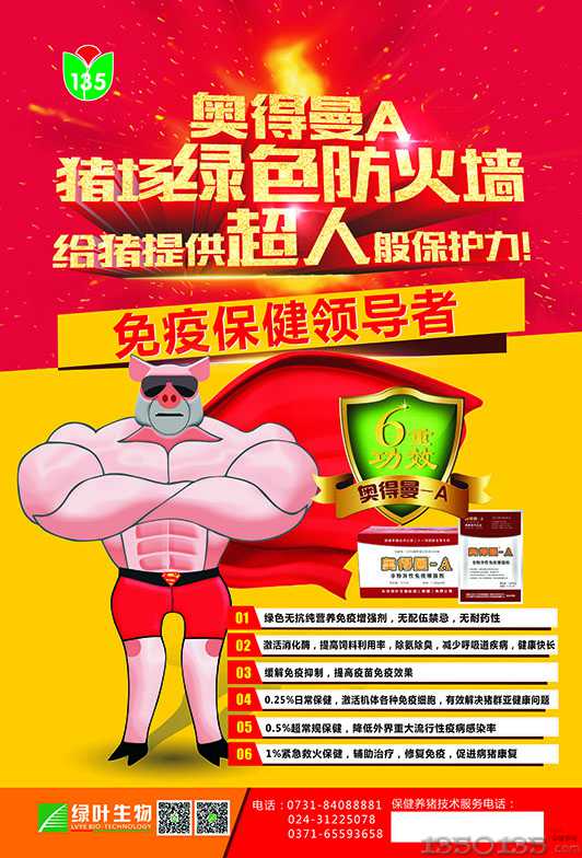 气喘病将是中国猪业下一个热点？？――记猪支原体病