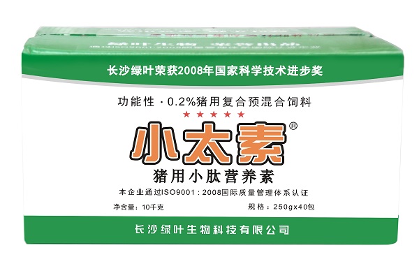 綠葉小太素
