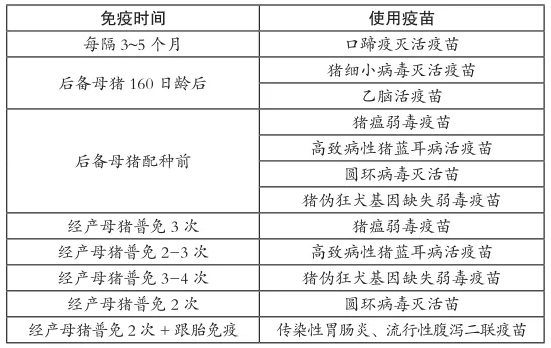 看了很多知识，还是不懂母猪、公猪的免疫程序，怕是问题都出在这里了。。。