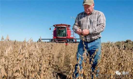外媒：中国正降低对美国大豆的依赖