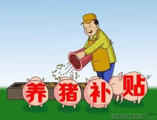 落实了：海南养猪有补贴，猪苗补贴500元，后备母猪1500，公猪3000元