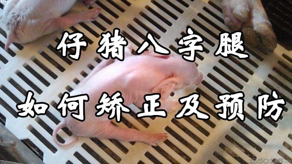 С