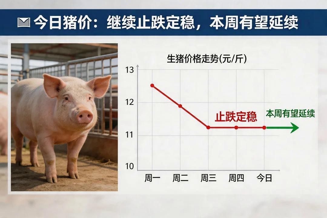 �������ۼ���ֹ�����ȣ�������������